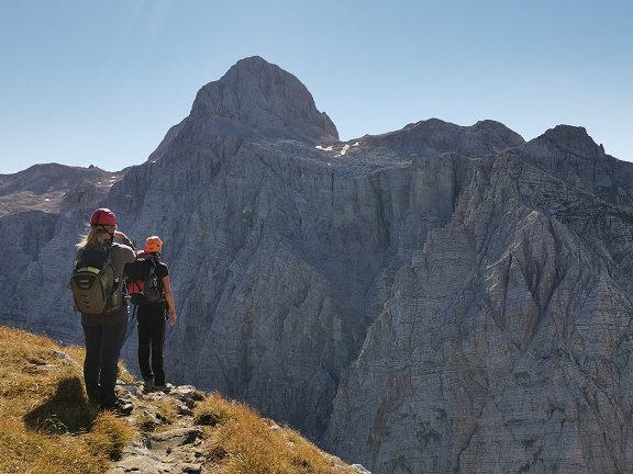 Bov__ki_Gamsovec__Foto_Mija_Koko__in.jpg